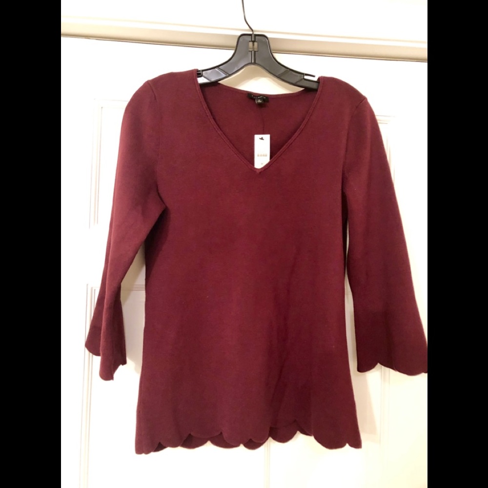 NWT v neck scallop sweater